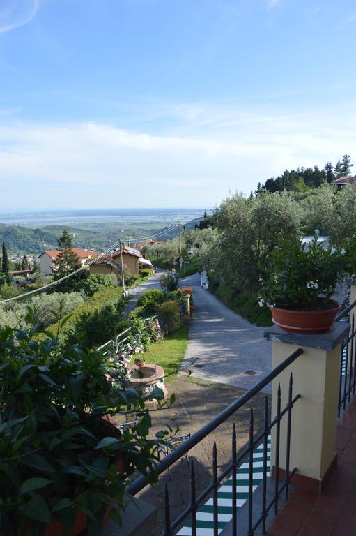 Bed & Breakfast Il Trebbio