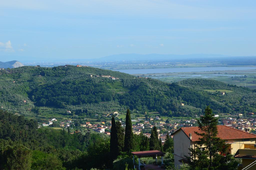Il Trebbio